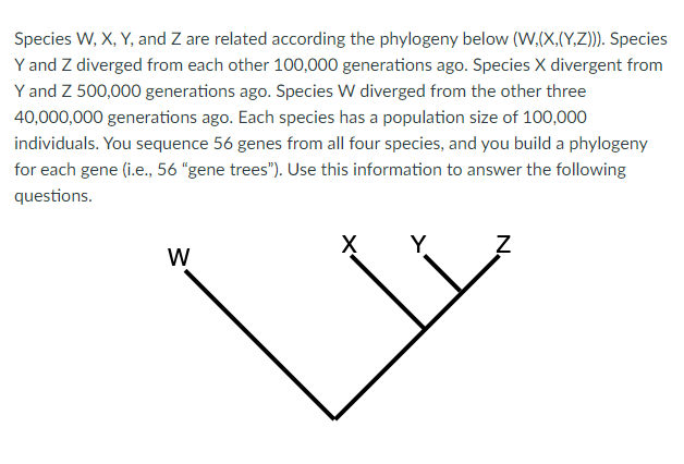 Species W, X, Y, and Z are related according the phylogeny below (W,(X,(Y,Z))). Species
Y and Z diverged from each other 100,000 generations ago. Species X divergent from
Y and Z 500,000 generations ago. Species W diverged from the other three
40,000,000 generations ago. Each species has a population size of 100,000
individuals. You sequence 56 genes from all four species, and you build a phylogeny
for each gene (i.e., 56 "gene trees"). Use this information to answer the following
questions.
W
Y
N₂