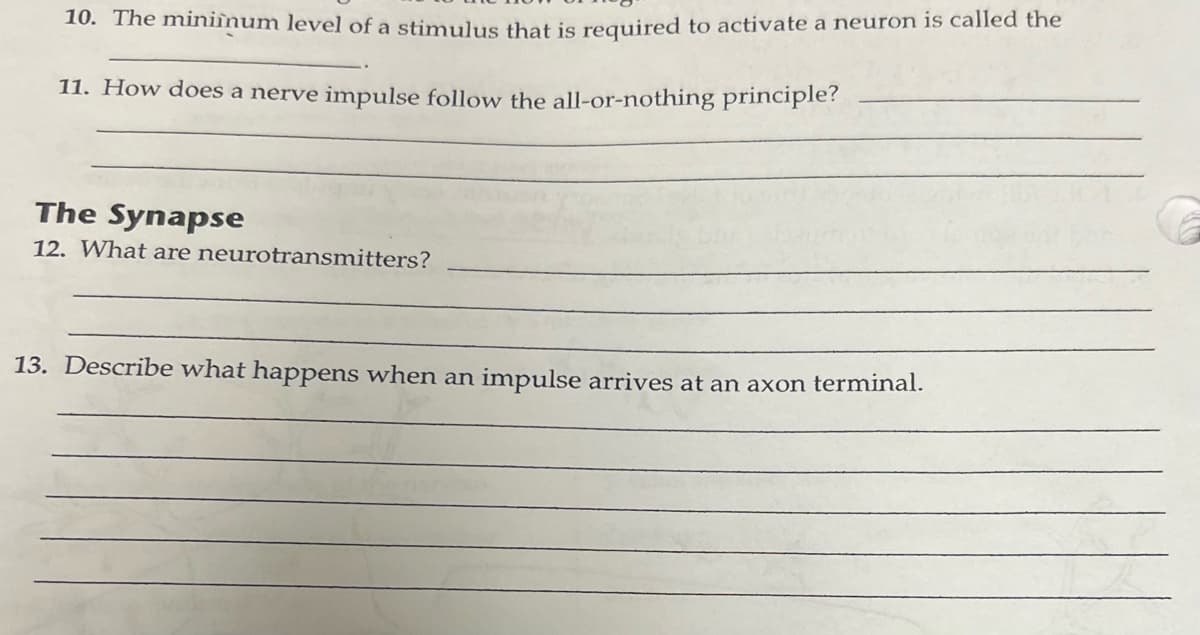 10. The miniinum level of a stimulus that is required to activate a neuron is called the
11. How does a nerve impulse follow the all-or-nothing principle?
The Synapse
12. What are neurotransmitters?
13. Describe what happens when an impulse arrives at an axon terminal.
