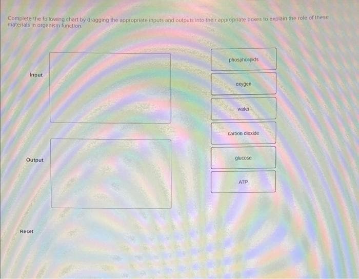 Complete the following chart by dragging the appropriate inputs and outputs into their appropriate boxes to explain the role of these
materials in organism function.
Input
Output
Reset
phospholipids
oxygen
water
carbon dioxide
glucose
ATP