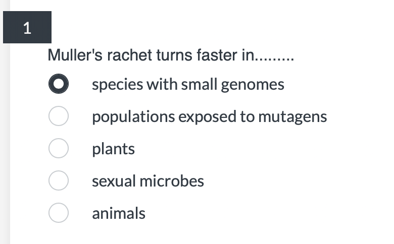 1
Muller's rachet turns faster in.........
O species with small genomes
O
O
populations exposed to mutagens
plants
sexual microbes
animals