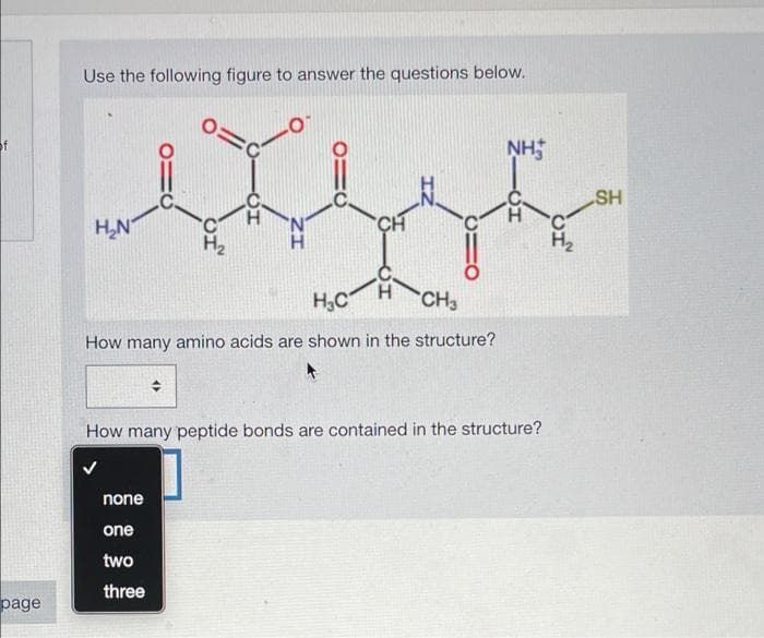 page
Use the following figure to answer the questions below.
=C
NH
CH
H₂N
H
H₂C
CH3
How many amino acids are shown in the structure?
How many peptide bonds are contained in the structure?
none
one
two
three
ZI
-CH
HO
SH
