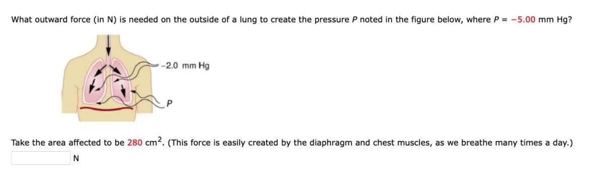 What outward force (in N) is needed on the outside of a lung to create the pressure P noted in the figure below, where P = -5.00 mm Hg?
-2.0 mm Hg
Take the area affected to be 280 cm2. (This force is easily created by the diaphragm and chest muscles, as we breathe many times a day.)
