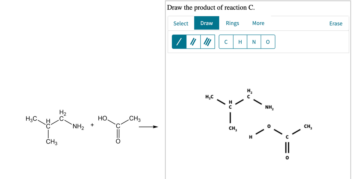 Draw the product of reaction C.
Select
Draw
Rings
More
Erase
C
H2
H,C
NH,
H2
.C.
H3C,
HO
CH3
`NH2
+
сн,
CH,
H
CH3

