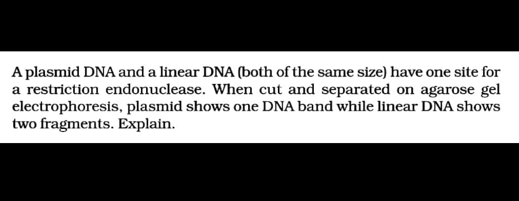 A plasmid DNA and a linear DNA (both of the same size) have one site for
a restriction endonuclease. When cut and separated on agarose gel
electrophoresis, plasmid shows one DNA band while linear DNA shows
two fragments. Explain.
