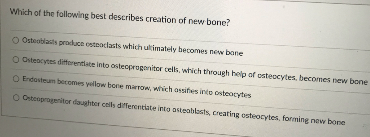 Which of the following best describes creation of new bone?
Osteoblasts produce osteoclasts which ultimately becomes new bone
Osteocytes differentiate into osteoprogenitor cells, which through help of osteocytes, becomes new bone
Endosteum becomes yellow bone marrow, which ossifies into osteocytes
Osteoprogenitor daughter cells differentiate into osteoblasts, creating osteocytes, forming new bone
