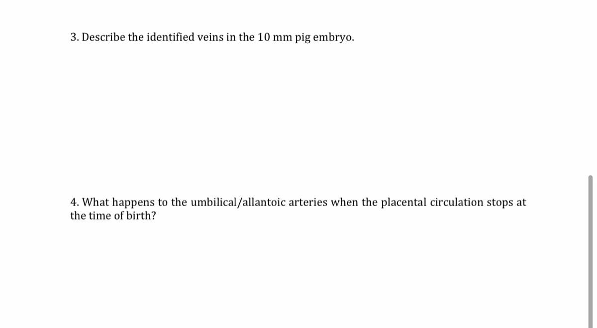 3. Describe the identified veins in the 10 mm pig embryo.
4. What happens to the umbilical/allantoic arteries when the placental circulation stops at
the time of birth?