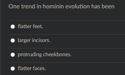 One trend in hominin evolution has been
flatter feet.
larger incisors.
protruding cheekbones.
flatter faces.
