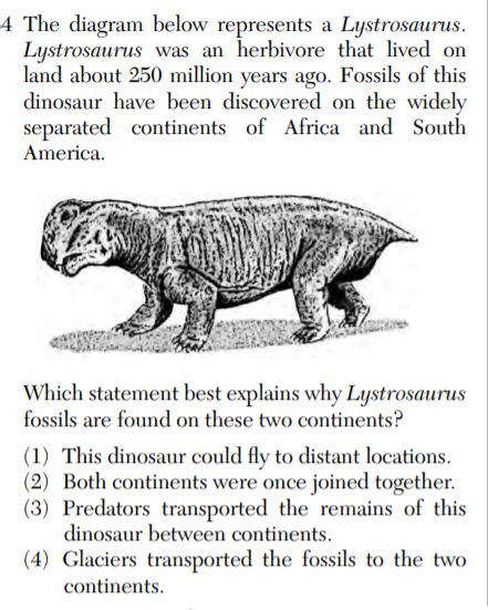 4 The diagram below represents a Lystrosaurus.
Lystrosaurus was an herbivore that lived on
land about 250 million years ago. Fossils of this
dinosaur have been discovered on the widely
separated continents of Africa and South
America.
Which statement best explains why Lystrosaurus
fossils are found on these two continents?
(1) This dinosaur could fly to distant locations.
(2) Both continents were once joined together.
(3) Predators transported the remains of this
dinosaur between continents.
(4) Glaciers transported the fossils to the two
continents.
