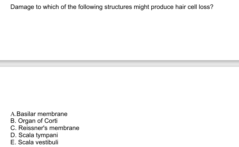 Damage to which of the following structures might produce hair cell loss?
A.Basilar membrane
B. Organ of Corti
C. Reissner's membrane
D. Scala tympani
E. Scala vestibuli