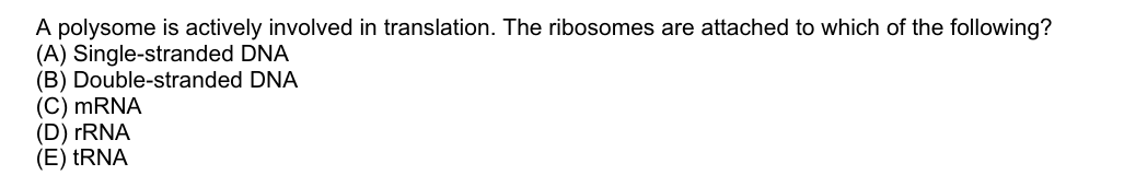 A polysome is actively involved in translation. The ribosomes are attached to which of the following?
(A) Single-stranded DNA
(B) Double-stranded DNA
(C) mRNA
(D) rRNA
(E) tRNA