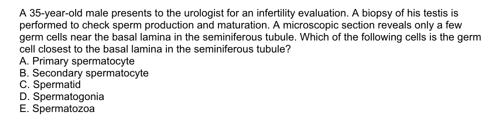 A 35-year-old male presents to the urologist for an infertility evaluation. A biopsy of his testis is
performed to check sperm production and maturation. A microscopic section reveals only a few
germ cells near the basal lamina in the seminiferous tubule. Which of the following cells is the germ
cell closest to the basal lamina in the seminiferous tubule?
A. Primary spermatocyte
B. Secondary spermatocyte
C. Spermatid
D. Spermatogonia
E. Spermatozoa