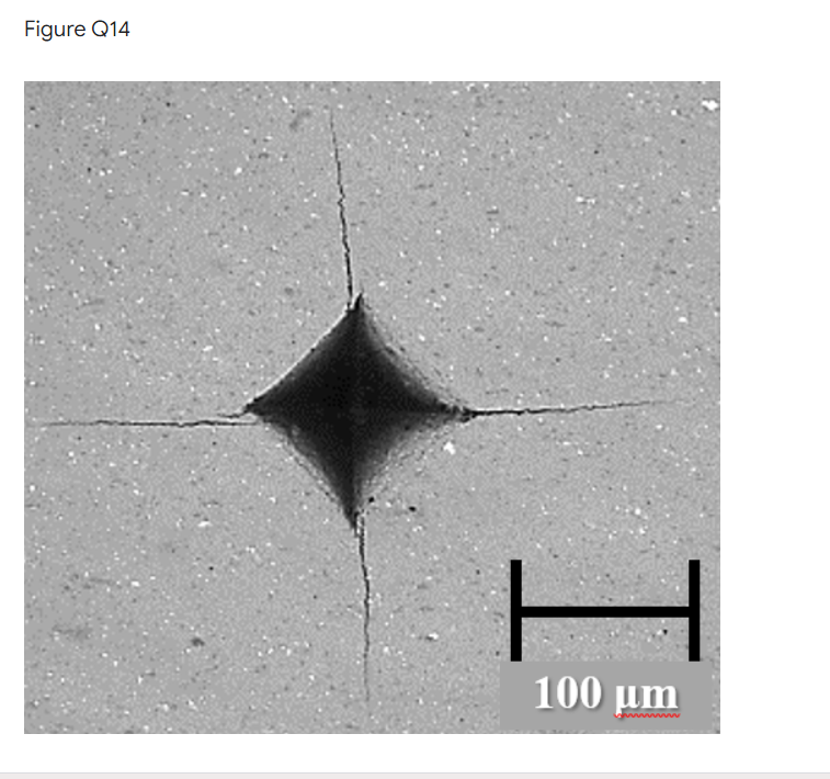 Figure Q14
100 µm
