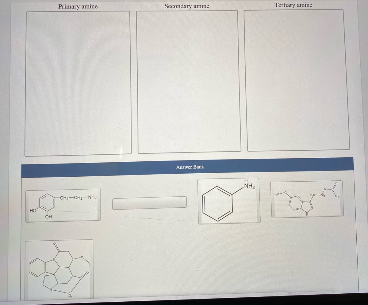 Primary amine
Secondary amine
Tertiary amine
Answer Bank
NH2
CH2-CH2-NH2
но
OH
