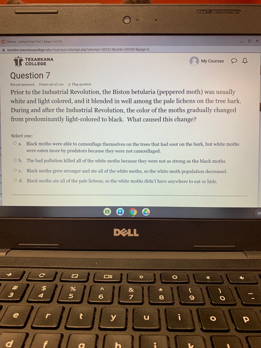 n Chrome - Lecture Final Part 1 (page 7 of 25)
A tconline.texarkanacollege.edu/mod/quiz/attempt.php?attempt= 502313&cmid 335301&page=6
T TEXARKANA
COLLEGE
My Courses
Question 7
Not yet answered Points out of 1.00
P Flag question
Prior to the Industrial Revolution, the Biston betularia (peppered moth) was usually
white and light colored, and it blended in well among the pale lichens on the tree bark.
During and after the Industrial Revolution, the color of the moths gradually changed
from predominantly light-colored to black. What caused this change?
Select one:
O a. Black moths were able to camouflage themselves on the trees that had soot on the bark, but white moths
were eaten more by predators because they were not camouflaged.
O b. The bad pollution killed all of the white moths because they were not as strong as the black moths.
c.
Black moths grew stronger and ate all of the white moths, so the white moth population decreased.
O d. Black moths ate all of the pale lichens, so the white moths didn't have anywhere to eat or hide.
us
DELL
$
&
8
e
y
i
