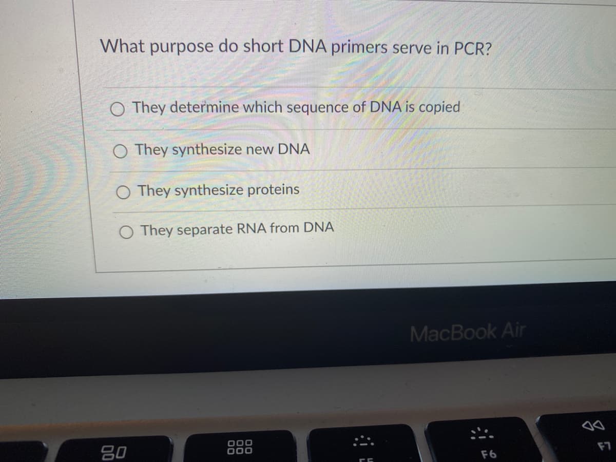 What purpose do short DNA primers serve in PCR?
O They determine which sequence of DNA is copied
O They synthesize new DNA
O They synthesize proteins
O They separate RNA from DNA
MacBook Air
80
888
F7
F6
