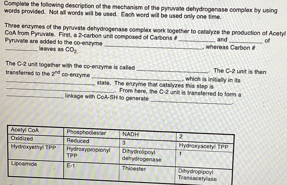 Complete the following description of the mechanism of the pyruvate dehydrogenase complex by using
words provided. Not all words will be used. Each word will be used only one time.
Three enzymes of the pyruvate dehydrogenase complex work together to catalyze the production of Acetyl
CoA from Pyruvate. First, a 2-carbon unit composed of Carbons #
and
of
whereas Carbon #
Pyruvate are added to the co-enzyme
leaves as CO₂.
The C-2 unit together with the co-enzyme is called
transferred to the 2nd
co-enzyme
Acetyl CoA
Oxidized
Hydroxyethyl TPP
Lipoamide
state. The enzyme that catalyzes this step is
linkage with CoA-SH to generate
Phosphodiester
Reduced
Hydroxypropionyl
TPP
E-1
From here, the C-2 unit is transferred to form a
NADH
3
Dihydrolipoyl
dehydrogenase
Thioester
The C-2 unit is then
which is initially in its
2
Hydroxyacetyl TPP
Dihydropipoyl
Transacetylase