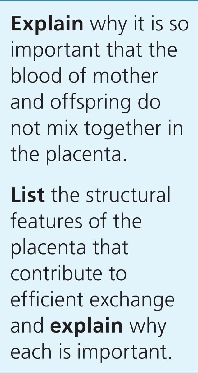 Explain why it is so
important that the
blood of mother
and offspring do
not mix together in
the placenta.
List the structural
features of the
placenta that
contribute to
efficient exchange
and explain why
each is important.
