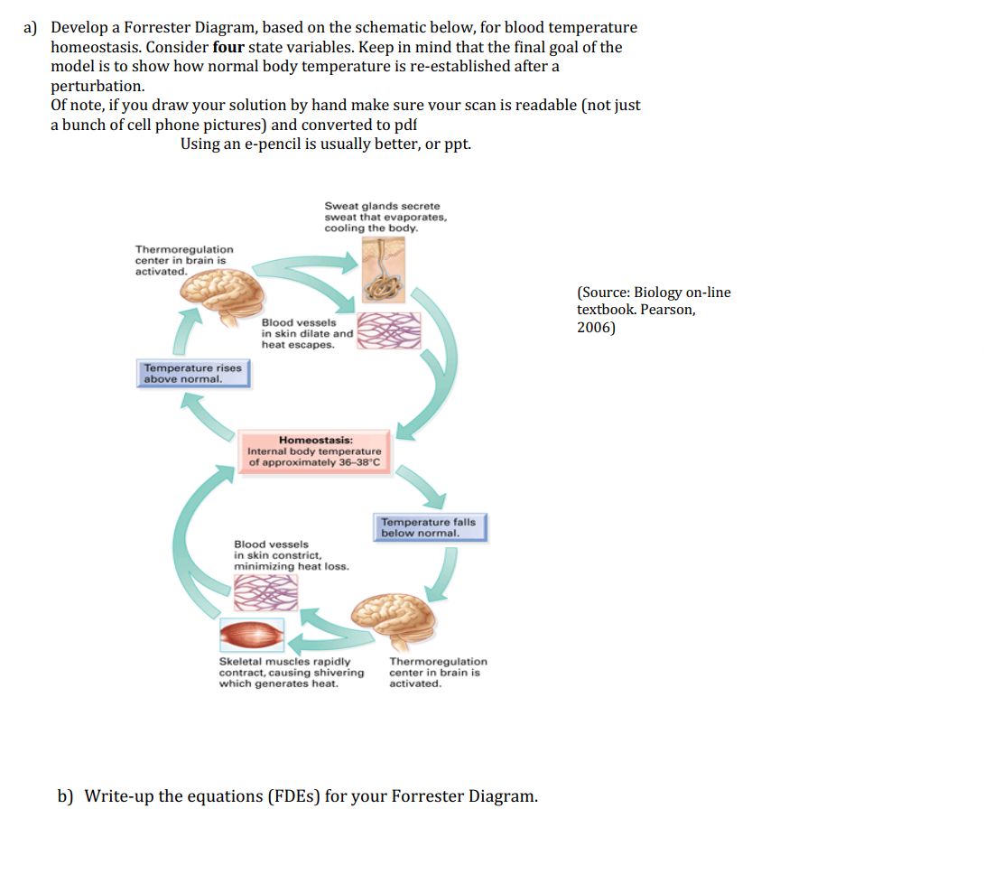 a) Develop a Forrester Diagram, based on the schematic below, for blood temperature
homeostasis. Consider four state variables. Keep in mind that the final goal of the
model is to show how normal body temperature is re-established after a
perturbation.
Of note, if you draw your solution by hand make sure your scan is readable (not just
a bunch of cell phone pictures) and converted to pdf
Using an e-pencil is usually better, or ppt.
Thermoregulation
center in brain is
activated.
Temperature rises
above normal.
Sweat glands secrete
sweat that evaporates,
cooling the body.
Blood vessels
in skin dilate and
heat escapes.
Homeostasis:
Internal body temperature
of approximately 36-38°C
Blood vessels
in skin constrict,
minimizing heat loss.
Skeletal muscles rapidly
contract, causing shivering
which generates heat.
Temperature falls
below normal.
Thermoregulation
center in brain is
activated.
b) Write-up the equations (FDEs) for your Forrester Diagram.
(Source: Biology on-line
textbook. Pearson,
2006)