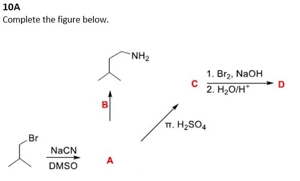 10A
Complete the figure below.
Br
NaCN
DMSO
B
A
NH₂
C
1. Br₂, NaOH
2. H₂O/H*
TT. H₂SO4