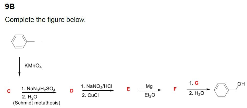 9B
Complete the figure below.
C
KMnO4
1. NaN3/H₂SO4
2. H₂O
(Schmidt metathesis)
D
1. NaNO₂/HCI
2. CuCl
E
Mg
Et₂O
F
1. G
2. H₂O
OH