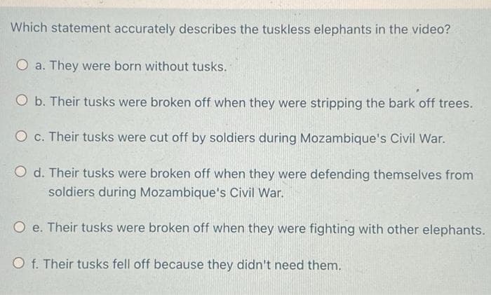 Which statement accurately describes the tuskless elephants in the video?
a. They were born without tusks.
O b. Their tusks were broken off when they were stripping the bark off trees.
O c. Their tusks were cut off by soldiers during Mozambique's Civil War.
O d. Their tusks were broken off when they were defending themselves from
soldiers during Mozambique's Civil War.
O e. Their tusks were broken off when they were fighting with other elephants.
O f. Their tusks fell off because they didn't need them.
