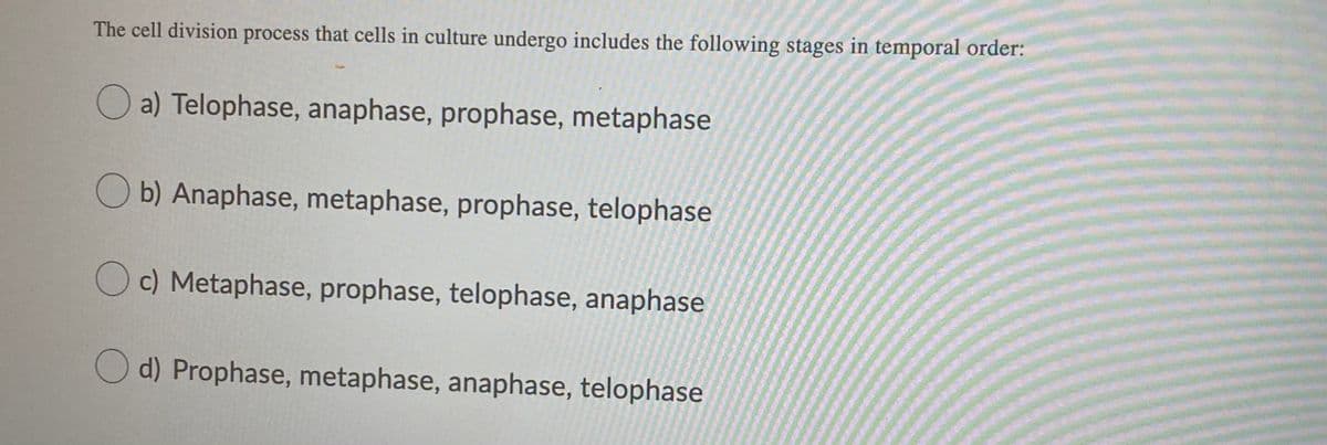 The cell division process that cells in culture undergo includes the following stages in temporal order:
O a) Telophase, anaphase, prophase, metaphase
O b) Anaphase, metaphase, prophase, telophase
O c) Metaphase, prophase, telophase, anaphase
O d) Prophase, metaphase, anaphase, telophase
