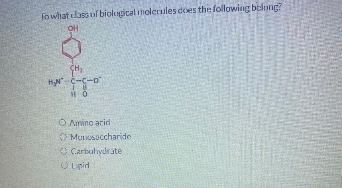 To what class of biological molecules does the following belong?
CH2
H;N'-C-C-0
H O
O Amino acid
O Monosaccharide
O Carbohydrate
O Lipid
