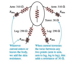 Arm: 310
Rakin
www
Leg: 290
Rakin
Wherever
current enters or
leaves the body,
we add the skin
resistance.
www
-ww
Arm: 310
ww
Torso: 30
Leg: 290
Rakin
Rakin
When current traverses
the torso between any
two points (arm to arm,
arm to leg, leg to leg), this
adds a resistance of 30.