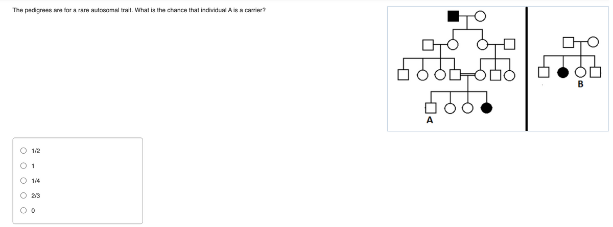 The pedigrees are for a rare autosomal trait. What is the chance that individual A is a carrier?
O
O
1/2
1
1/4
2/3
0
56
A
ठट
B