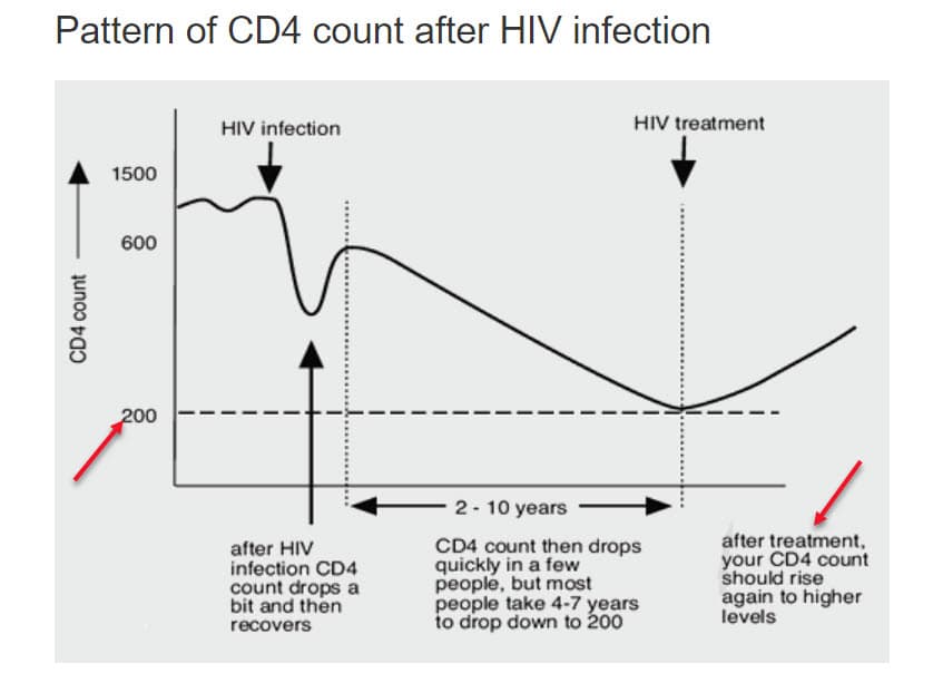 Pattern of CD4 count after HIV infection
HIV infection
HIV treatment
1500
600
200
2- 10 years
after HIV
infection CD4
count drops a
bit and then
CD4 count then drops
quickly in a few
people, but most
people take 4-7 years
to drop down to 200
after treatment,
your CD4 count
should rise
again to higher
levels
recovers
CD4 count
