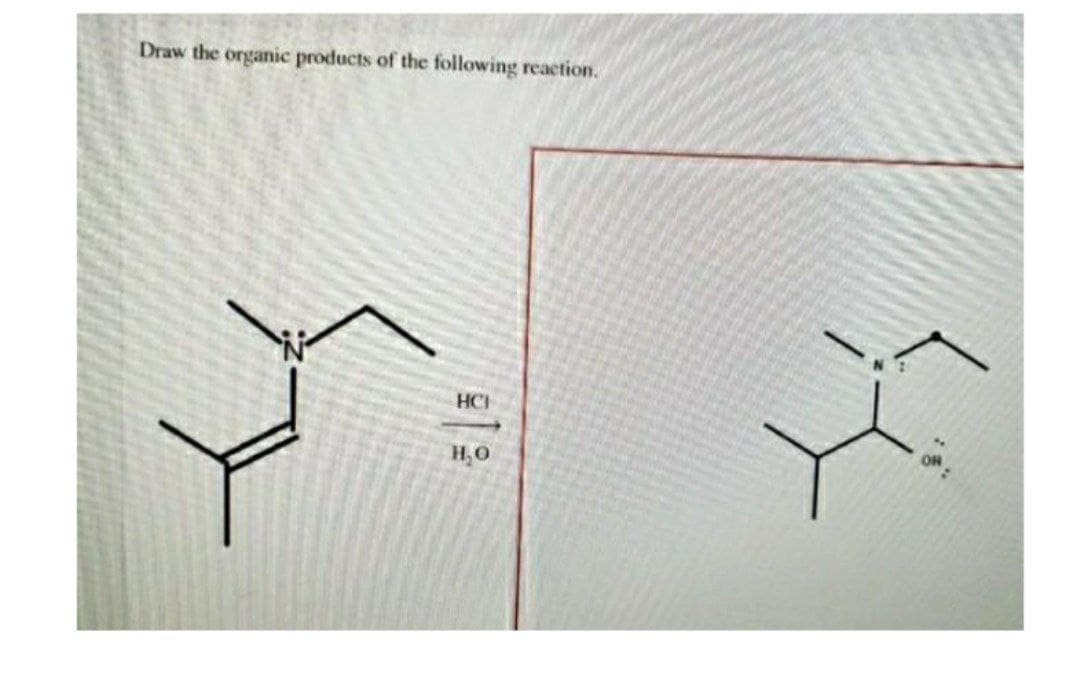 Draw the organic products of the following reaction.
HCH
H,O
