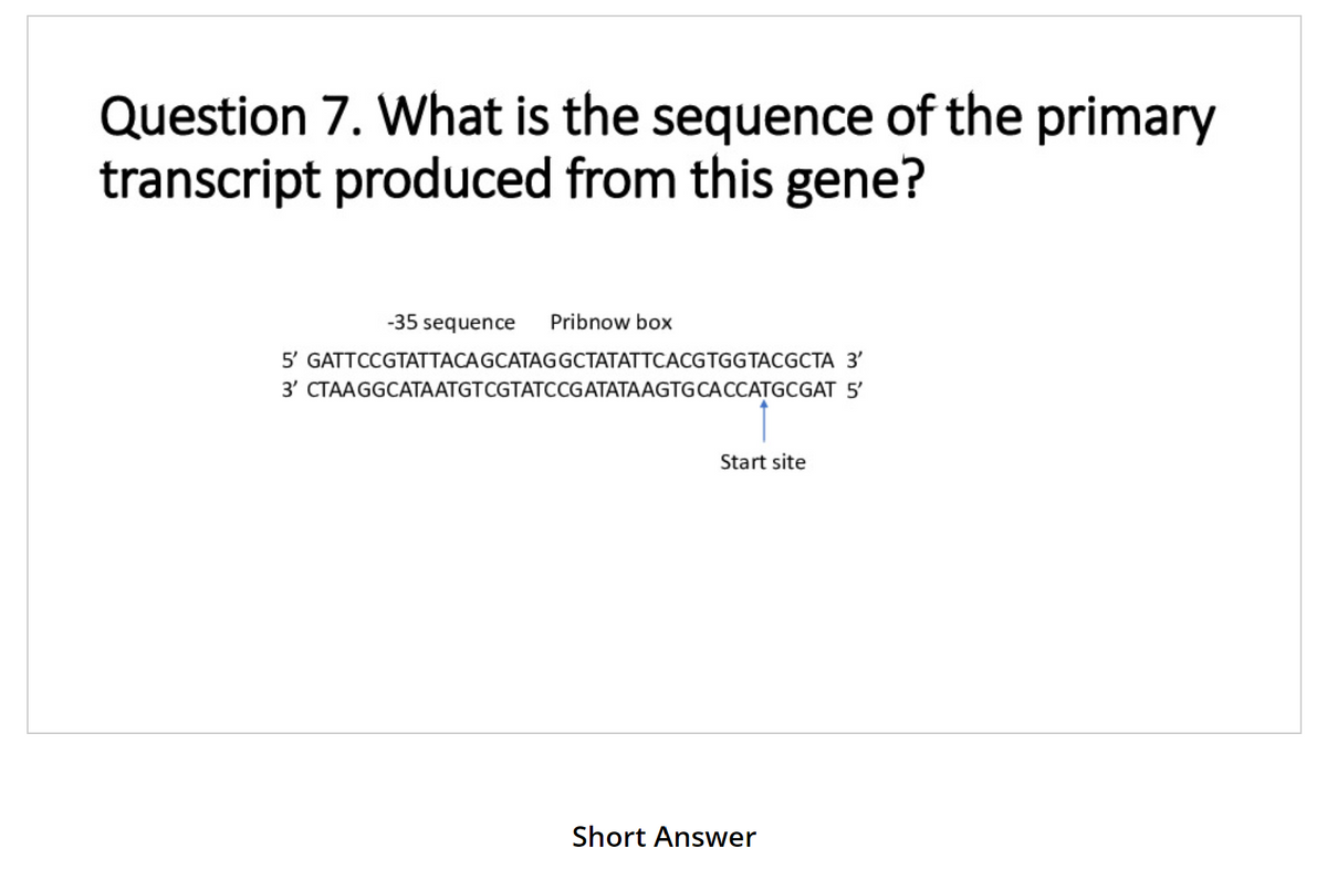 Question 7. What is the sequence of the primary
transcript produced from this gene?
-35 sequence Pribnow box
5' GATTCCGTATTACAGCATAG GCTATATTCACGTGGTACGCTA 3'
3' CTAAGGCATAATGTCGTATCCGATATAAGTG CACCATGCGAT 5'
Start site
Short Answer