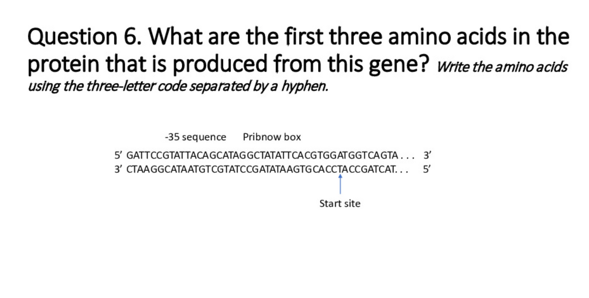 Question 6. What are the first three amino acids in the
protein that is produced from this gene? Write the amino acids
using the three-letter code separated by a hyphen.
-35 sequence Pribnow box
5' GATTCCGTATTACAGCATAG GCTATATT CA CGTGGATGGTCAGTA... 3'
3' CTAAGGCATAATGTCGTATCCGATATAAGTG CACCTACCGATCAT... 5'
Start site
