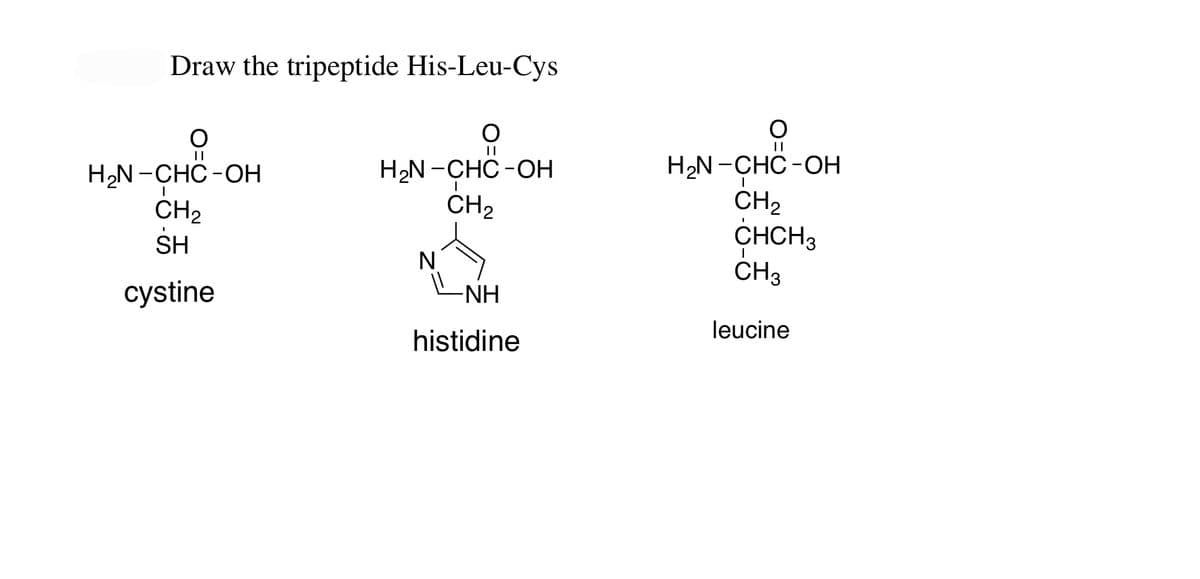 Draw the tripeptide His-Leu-Cys
- CHO
H₂N-CHC-OH
I
CH₂
I
SH
cystine
O
||
H₂N-CHC-OH
CH₂
N
-NH
histidine
요
||
H₂N-CHC-OH
I
CH₂
CHCH3
I
CH3
leucine