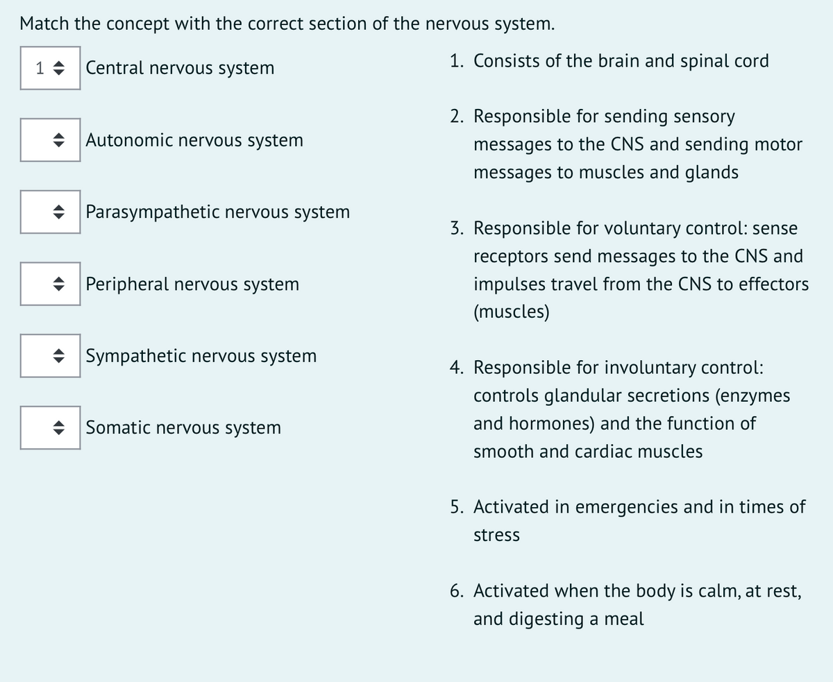 Match the concept with the correct section of the nervous system.
1 + Central nervous system
1. Consists of the brain and spinal cord
2. Responsible for sending sensory
+ Autonomic nervous system
messages to the CNS and sending motor
messages to muscles and glands
+ Parasympathetic nervous system
3. Responsible for voluntary control: sense
receptors send messages to the CNS and
+ Peripheral nervous system
impulses travel from the CNS to effectors
(muscles)
• Sympathetic nervous system
4. Responsible for involuntary control:
controls glandular secretions (enzymes
+ Somatic nervous system
and hormones) and the function of
smooth and cardiac muscles
5. Activated in emergencies and in times of
stress
6. Activated when the body is calm, at rest,
and digesting a meal
