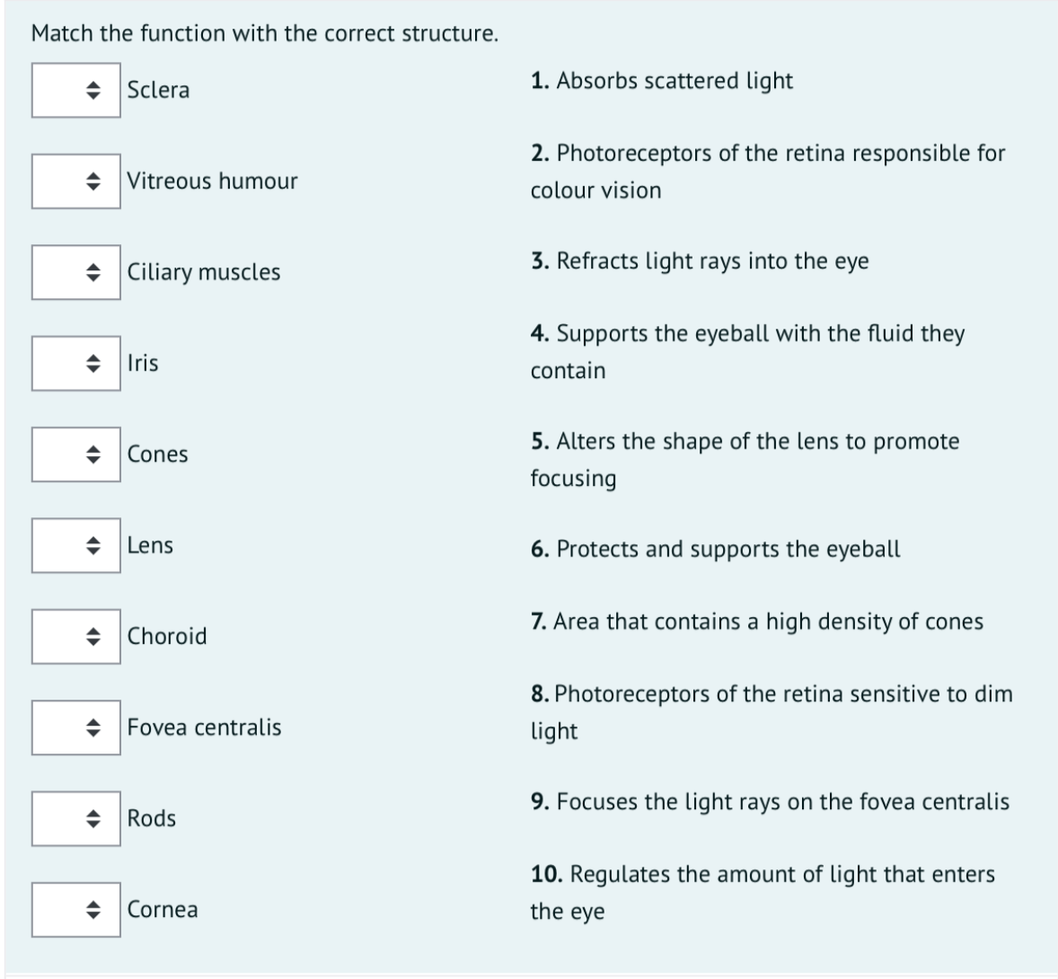 Match the function with the correct structure.
1. Absorbs scattered light
Sclera
2. Photoreceptors of the retina responsible for
Vitreous humour
colour vision
3. Refracts light rays into the eye
+ Ciliary muscles
4. Supports the eyeball with the fluid they
Iris
contain
5. Alters the shape of the lens to promote
Cones
focusing
Lens
6. Protects and supports the eyeball
7. Area that contains a high density of cones
Choroid
8. Photoreceptors of the retina sensitive to dim
Fovea centralis
light
9. Focuses the light rays on the fovea centralis
Rods
10. Regulates the amount of light that enters
Cornea
the eye
