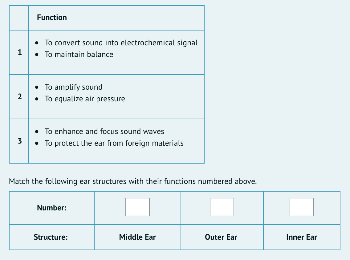 Function
• To convert sound into electrochemical signal
1
• To maintain balance
• To amplify sound
• To equalize air pressure
2
• To enhance and focus sound waves
3
• To protect the ear from foreign materials
Match the following ear structures with their functions numbered above.
Number:
Structure:
Middle Ear
Outer Ear
Inner Ear
