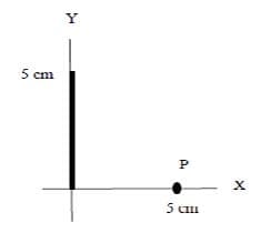 Y
5 cm
P
5 CII
