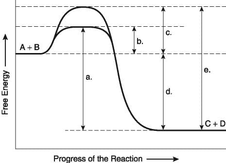 C.
b.
A+B
е.
a.
d.
C+D
Progress of the Reaction
Free Energy
