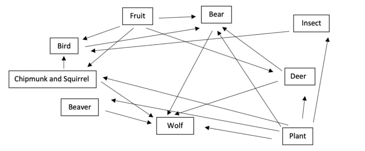 Bird
Chipmunk and Squirrel
Beaver
Fruit
Wolf
Bear
Insect
Deer
Plant