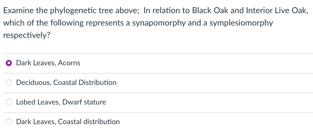 Examine the phylogenetic tree above; In relation to Black Oak and Interior Live Oak,
which of the following represents a synapomorphy and a symplesiomorphy
respectively?
Dark Leaves, Acorns
Deciduous, Coastal Distribution
Lobed Leaves, Dwarf stature
Dark Leaves, Coastal distribution
