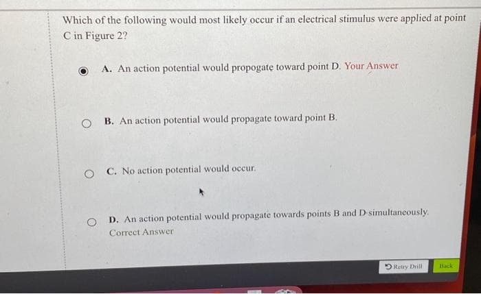 Which of the following would most likely occur if an electrical stimulus were applied at point
C in Figure 2?
A. An action potential would propogate toward point D. Your Answer
O
B. An action potential would propagate toward point B.
O C. No action potential would occur.
O
D. An action potential would propagate towards points B and D-simultaneously.
Correct Answer
Retry Drill
Back