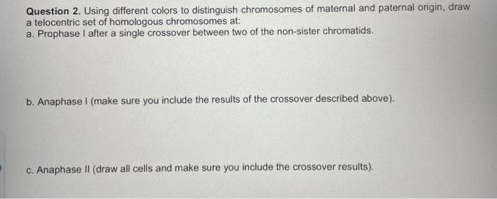 Question 2. Using different colors to distinguish chromosomes of maternal and paternal origin, draw
a telocentric set of homologous chromosomes at:
a. Prophase I after a single crossover between two of the non-sister chromatids.
b. Anaphase I (make sure you include the results of the crossover described above).
c. Anaphase II (draw all cells and make sure you include the crossover results).