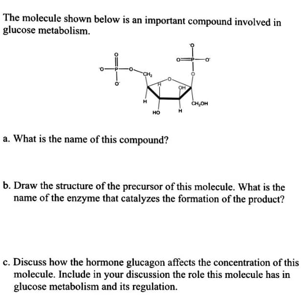 The molecule shown below is an important compound involved in
glucose metabolism.
CH2
OH
CH,OH
но
a. What is the name of this compound?
b. Draw the structure of the precursor of this molecule. What is the
name of the enzyme that catalyzes the formation of the product?
c. Discuss how the hormone glucagon affects the concentration of this
molecule. Include in your discussion the role this molecule has in
glucose metabolism and its regulation.
