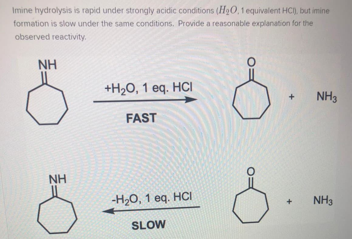 Imine hydrolysis is rapid under strongly acidic conditions (H2O, 1 equivalent HCI), but imine
formation is slow under the same conditions. Provide a reasonable explanation for the
observed reactivity.
NH
+H2O, 1 eq. HCI
NH3
FAST
NH
-H20, 1 eq. HCI
NH3
SLOW
