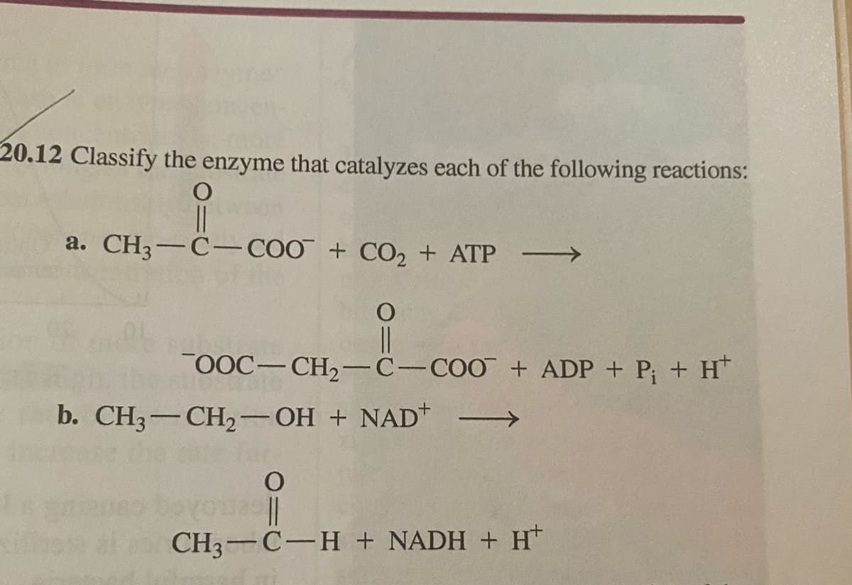 20.12 Classify the enzyme that catalyzes each of the following reactions:
|3|
a. CH3-C-COO + CO2 + ATP
OOC-CH2-C-COO + ADP + P; + H
b. CH3-CH2-OH + NAD*
CH3-C-H + NADH + H*
