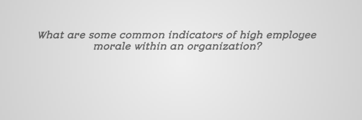 What are some common indicators of high employee
morale within an organization?