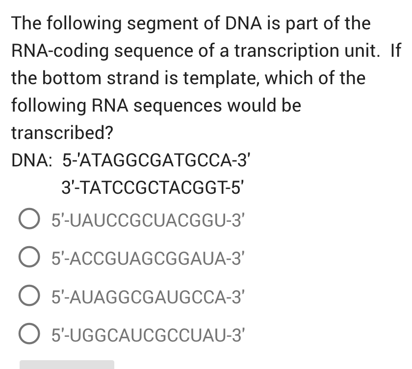 The following segment of DNA is part of the
RNA-coding sequence of a transcription unit. If
the bottom strand is template, which of the
following RNA sequences would be
transcribed?
DNA: 5-'ATAGGCGATGCCA-3'
3'-TATCCGCTACGGT-5'
O 5'-UAUCCGCUACGGU-3'
O 5'-ACCGUAGCGGAUA-3'
O 5'-AUAGGCGAUGCCA-3'
O 5'-UGGCAUCGCCUAU-3'