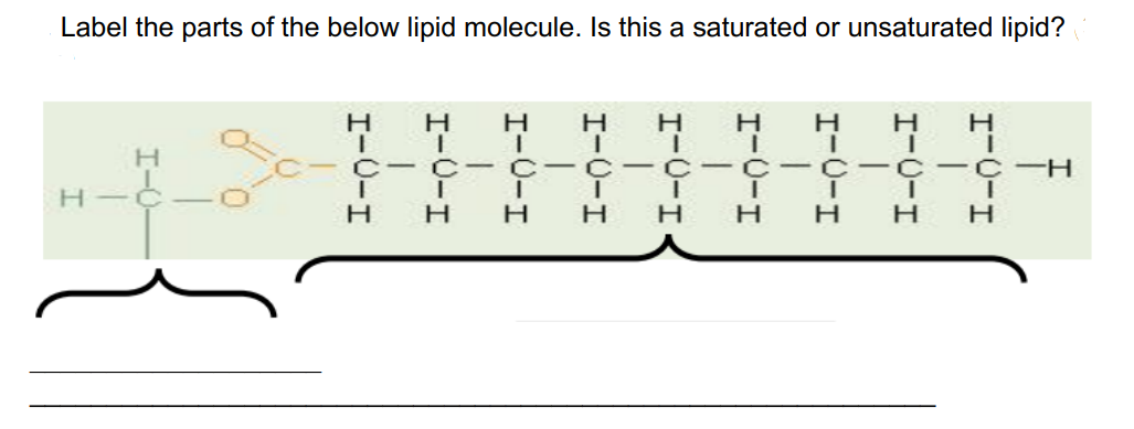 Label the parts of the below lipid molecule. Is this a saturated or unsaturated lipid?
H—
Н
Н
C-
н
Н
н н н
|
|
Н н
I
-с-с-с-с-с-с-н
Т
Н Н н нн н Н