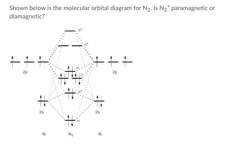 Shown below is the molecular orbital diagram for N2. Is N2* paramagnetic or
diamagnetic?
+++
2p
2p
%23
25
2s
N
N2
